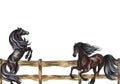 Banner with horses near a wooden fence. Hand watercolor. The horses get up and gallop. For printing and labels