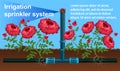 Banner Irrigation Sprinkler System Landing Page.