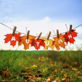 Banner with letters and the name autumn carved on red maple leaves hanging on clothespins and rope in an autumn Sunny Park against