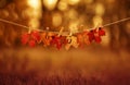 Banner with letters and the name autumn carved on red maple leaves hanging on clothespins and rope in the autumn clear bright Park