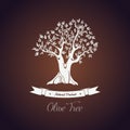 Banner or logo for olive oil tree with branch