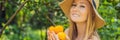 BANNER, LONG FORMAT Portrait of Attractive Farmer Woman is Harvesting Orange in Organic Farm, Cheerful Girl in Happiness Royalty Free Stock Photo