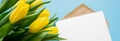 Banner with paper letter envelope postcard, yellow tulips. Copy space