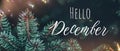 banner with pine branches and lettering Hello December
