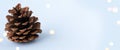 Banner. Pine cone on a blue background. Bokeh. Eco friendly Christmas decorations concept. Copy space