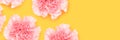 Banner with pink carnation flowers scattered on a yellow background.