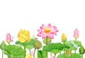 Banner with pink yellow buds lotus flowers and green leaves. Flying dragonflies. Hand-drawn watercolor illustration Royalty Free Stock Photo