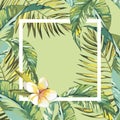 Banner, poster with palm leaves, jungle leaf. Beautiful vector floral tropical summer background. EPS 10 Royalty Free Stock Photo
