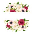 Banner with red, pink and white flowers. Vector illustration. Royalty Free Stock Photo