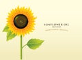 Banner for refined sunflower oil with inscription Royalty Free Stock Photo