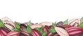 Banner with Ripe Cocoa pod with beans and leaves. Watercolor borders. Illustration for packaging,template, menu, poster Royalty Free Stock Photo