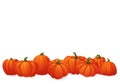 Banner with ripe orange pumpkins with green stems isolated on white background.