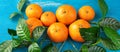 Banner Ripe tangerines with green leaves on a bright blue background Top view flat lay copy space