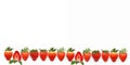 A banner with a row of fresh juicy whole and a half strawberries strawberries Royalty Free Stock Photo