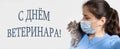 Banner in Russian, translation World Veterinary Day. Veterinarian and kitten, cat. Royalty Free Stock Photo