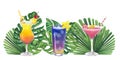 Banner cocktails Sex on the beach, Tequila Sunrise Cosmopolitan Daiquiri. Tropical leaves Monstera Licuala. Hand drawn Royalty Free Stock Photo