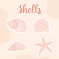 four seashell icons Royalty Free Stock Photo