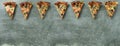 Banner Several slices of pizza on a green background with copy space Royalty Free Stock Photo