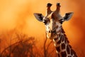 Banner showcases the exotic allure of a giraffe in nature