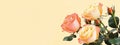 Banner Sketch: Composition of Midas Touch Roses Royalty Free Stock Photo