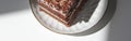 Banner. A slice of chocolate cake with white cream with a curl on a light background.