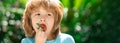 Banner with spring kids portrait. Kids pick fresh organic strawberry. Happy little boy eats strawberries. Royalty Free Stock Photo