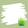 Banner square frame aloe vera plant for background green advertising, blank banner aloe vera leaves for copy space, clip art aloe