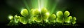 Banner. St. Patricks Day Clover Background - Festive Shamrock Pattern for Irish Holiday. Lucky