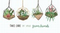 Banner with succulents, cactuses and other plants growing in hanging glass vivariums or florariums and Take Care Of Your