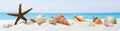 Banner summer background with white sand.  Seashell and starfish on the beach Royalty Free Stock Photo