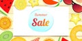 Banner summer sale season background vector