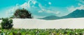 BANNER summer sun day nature landscape for background wallpaper. White sand dune, blue sky cumulus clouds fluffy, lotus