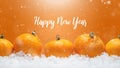 Banner with tangerines in the form of Christmas decorations on the snow, with falling snow. Happy Christmas or Happy New Year,