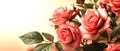 7000X3000 Pixel, 300 DPI, rose in banner template, abstract background, Generative AI
