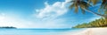 banner template featuring a tropical beach scene with clear blue skies and palm trees Royalty Free Stock Photo