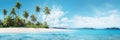 banner template featuring a tropical beach scene with clear blue skies and palm trees Royalty Free Stock Photo