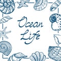 A banner template in a nautical style. Hand-drawn seashells and starfish in sketch style. Life of the ocean. Handwritten