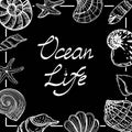 Banner template in nautical style. Hand drawn seashells and starfish in sketch style. Ocean life. Handwritten font. Template for a