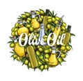 Banner template olive oil