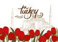 Banner template with Sketch Drawing of an Aya Sofya, Hagia Sophia Mosque, Istanbul, Turkey and Tulip flowers. Turkish