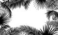 Banner template with tropical leaves, palm branches, monstera. Tropical poster with black outline drawing on white background. Royalty Free Stock Photo