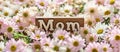 Banner with text mom adorned with flowers, a heartwarming and floral tribute to celebrate essence of motherhood