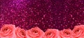 banner texture background with roses flowers and pink bokeh Royalty Free Stock Photo