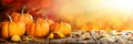 Thanksgiving Pumpkins And Leaves On Rustic Wooden Table Royalty Free Stock Photo