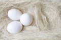 Banner Three eggs in chicken nest with white straw