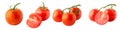 A banner with tomatoes in different forms, in a cut and branches isolated on a white background, full depth of field, no shadow,