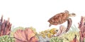 A banner with a turtle and tropical fish with corals isolated on a white background. Watercolor illustration of underwater animals Royalty Free Stock Photo