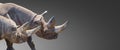 Banner with two huge and old African rhinos with big horns at grey gradient background with copy space for text