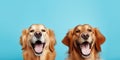 Banner two smiling dogs with happy expression. and closed eyes. Isolated on blue colored background