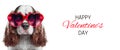 Banner for Valentine's Day holiday with funny dog wearing red glasses